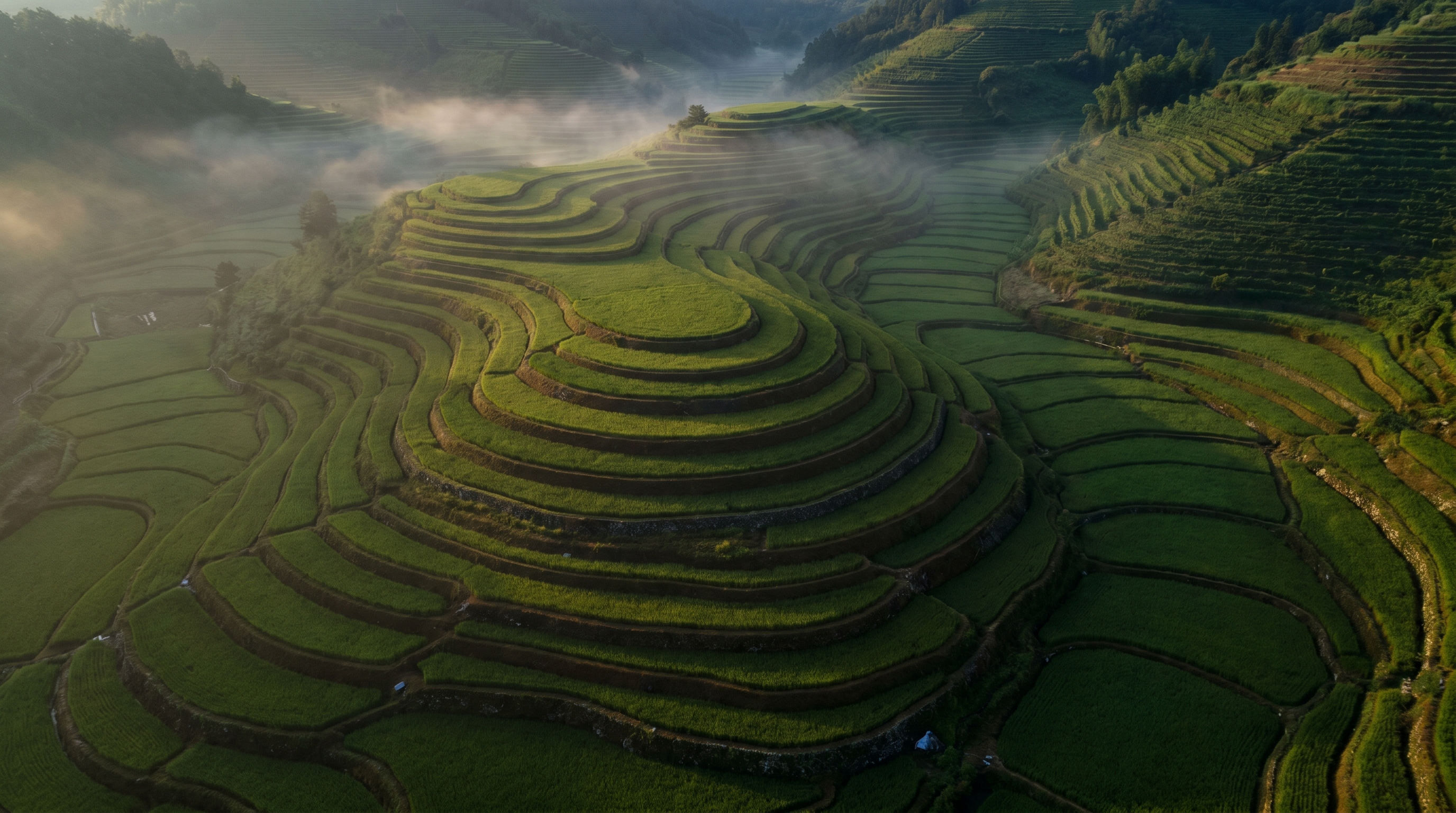 Compound vs Campaign